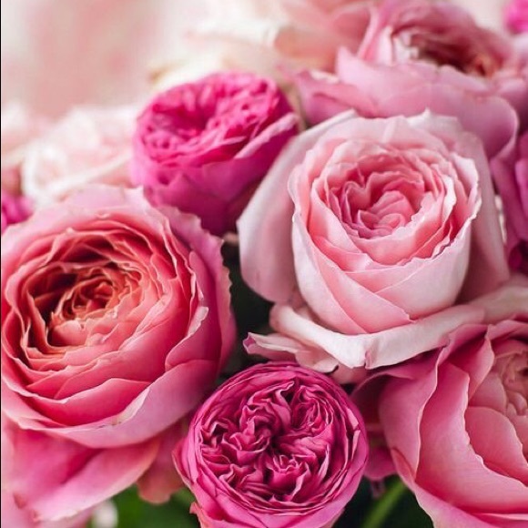 🌟Round Italy Tray - Picture 10 of 15